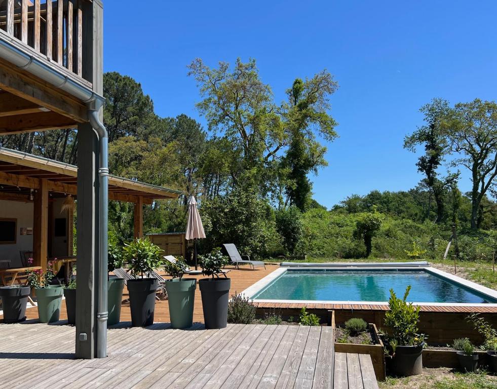 a swimming pool with potted plants next to a house at Laguillotte in Seignosse