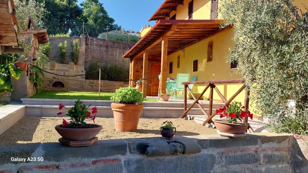 a group of potted plants sitting in a yard at Agriturismo Rosetta in Montevarchi