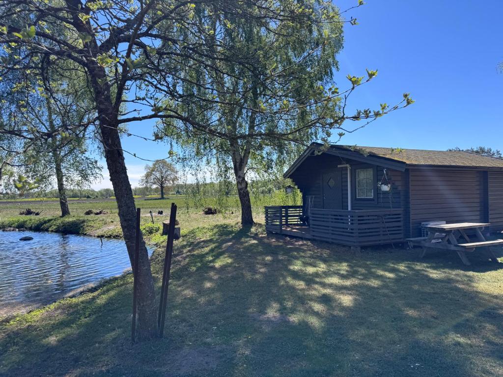 a cabin next to a lake with trees at Cabin at the Gate to Österlen in Degeberga