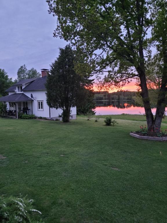 a house in a yard with a tree and a lake at Linnåsen stuga in Rottneros