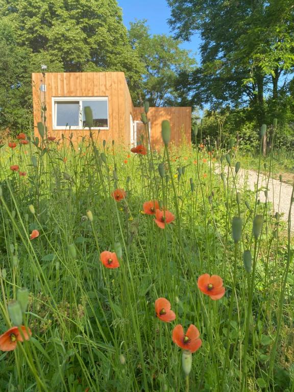 a tiny house in a field with red flowers at Le pré du bonheur in Saint-Georges-sur-Baulche