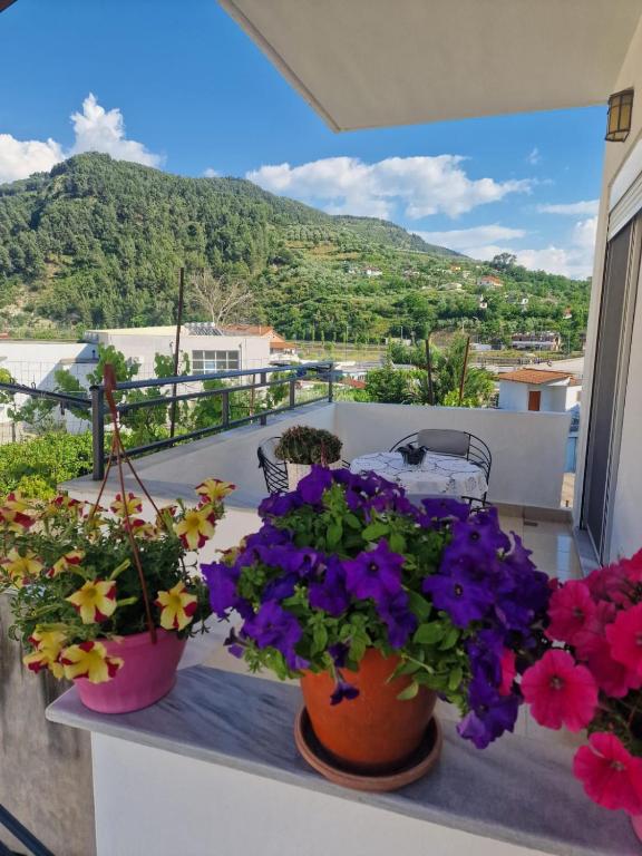 three potted flowers on a balcony with a view at Villa Noah in Berat