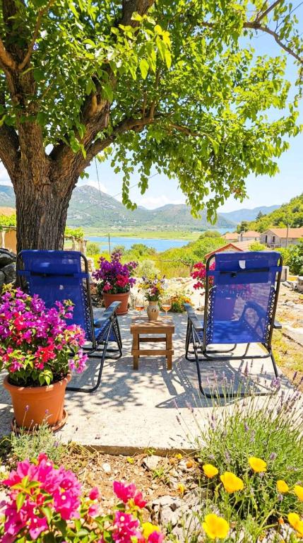 two chairs and a table under a tree with flowers at Hana Skadar Lake - 200 metara do jezera in Prevlaka