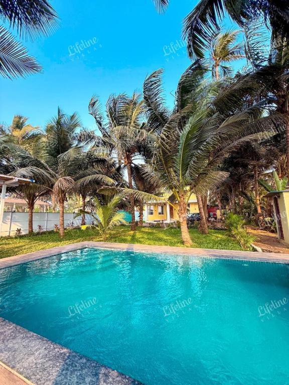a swimming pool with palm trees in front of a house at The Mariners Plunder - A Sea Facing Escape in Avas