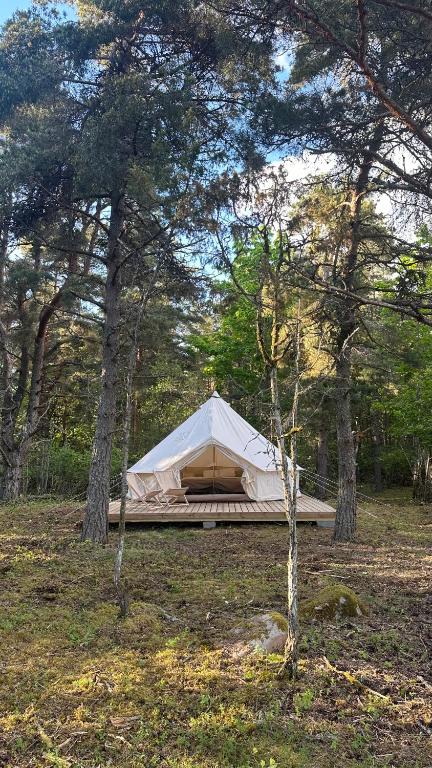 a tent in the middle of a field with trees at Merevaatega Glämping Sarvel in Kukka