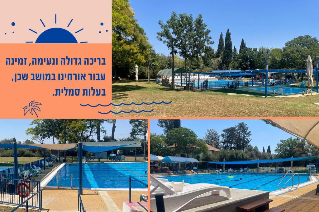 a collage of photos of a swimming pool at Provence in the Valley in Kefar Barukh