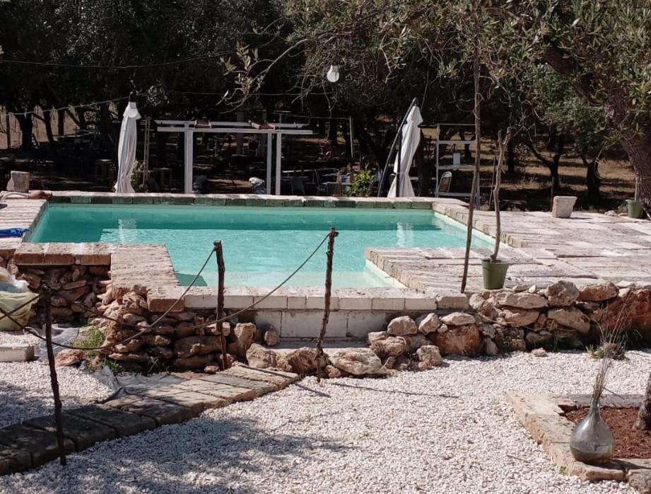 Tenuta L'uliveto