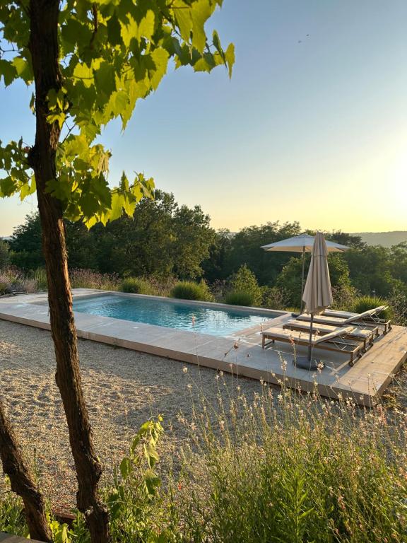 ein Swimmingpool mit Sonnenschirm und Liegestühlen in der Unterkunft Stone Villa Istria Private Pool Paradise in Šumber