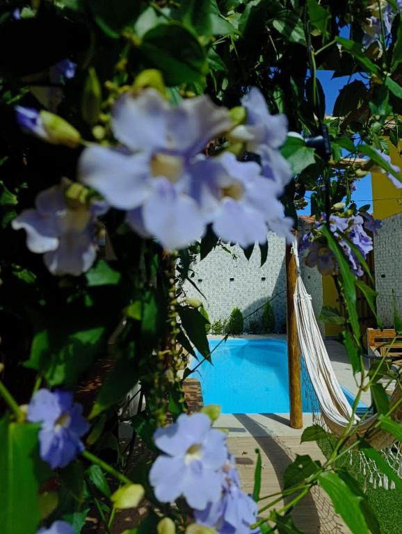 a bunch of flowers in front of a pool at Pousada Mandala in Palmeiras