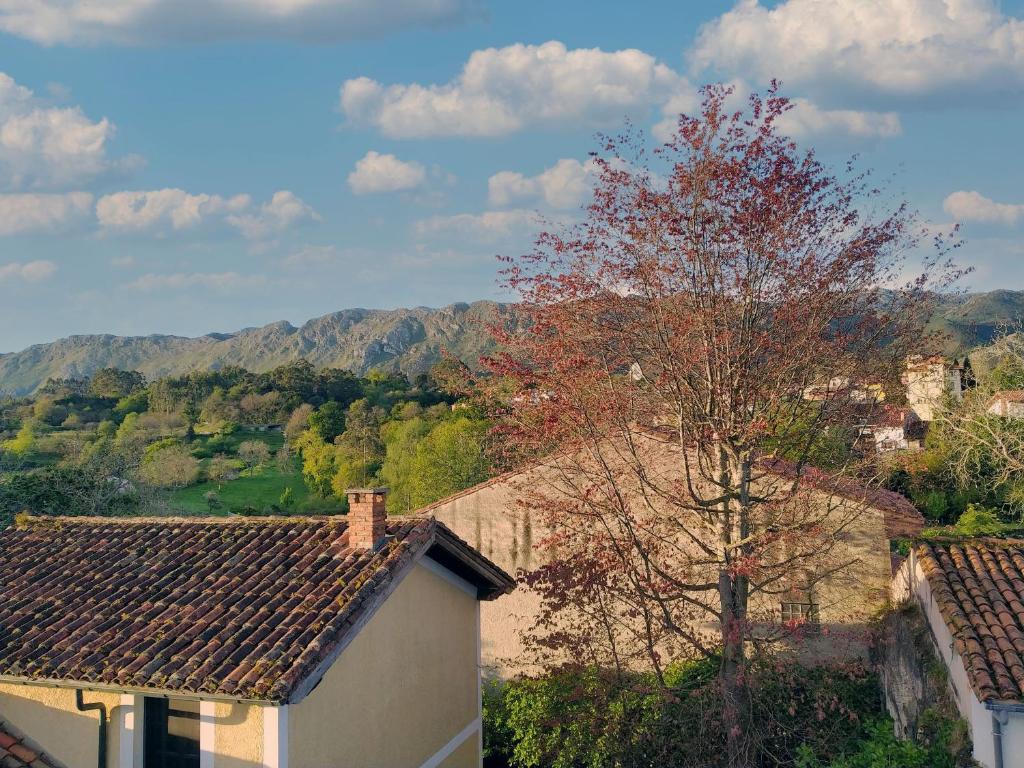 a building and a tree with a mountain in the background at Casa del Sur El Collau in Porrúa