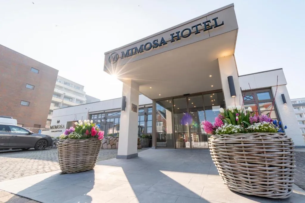 Mimosa Hotel