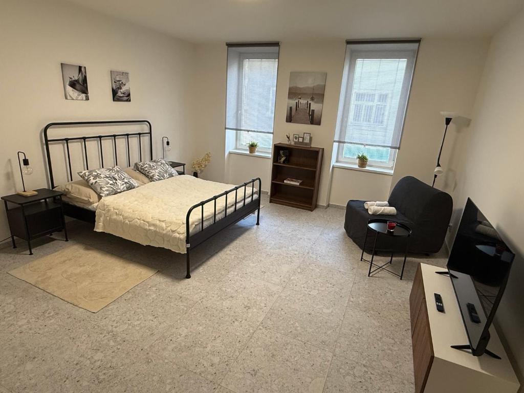 a bedroom with a bed and a chair and a television at Hajkova Apartment in Jáma František