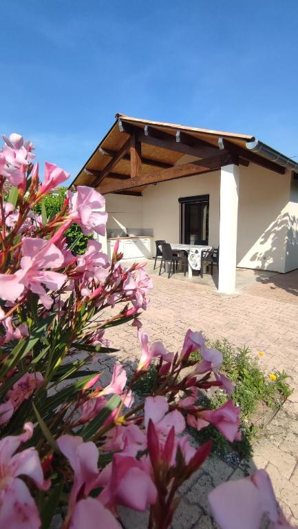 a house with pink flowers in front of it at La petite maison de la Drôme in Aouste-sur-Sye