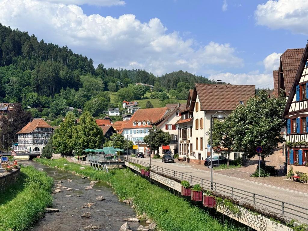 a town in the mountains with a river and buildings at Zur alten Brücke in Schiltach