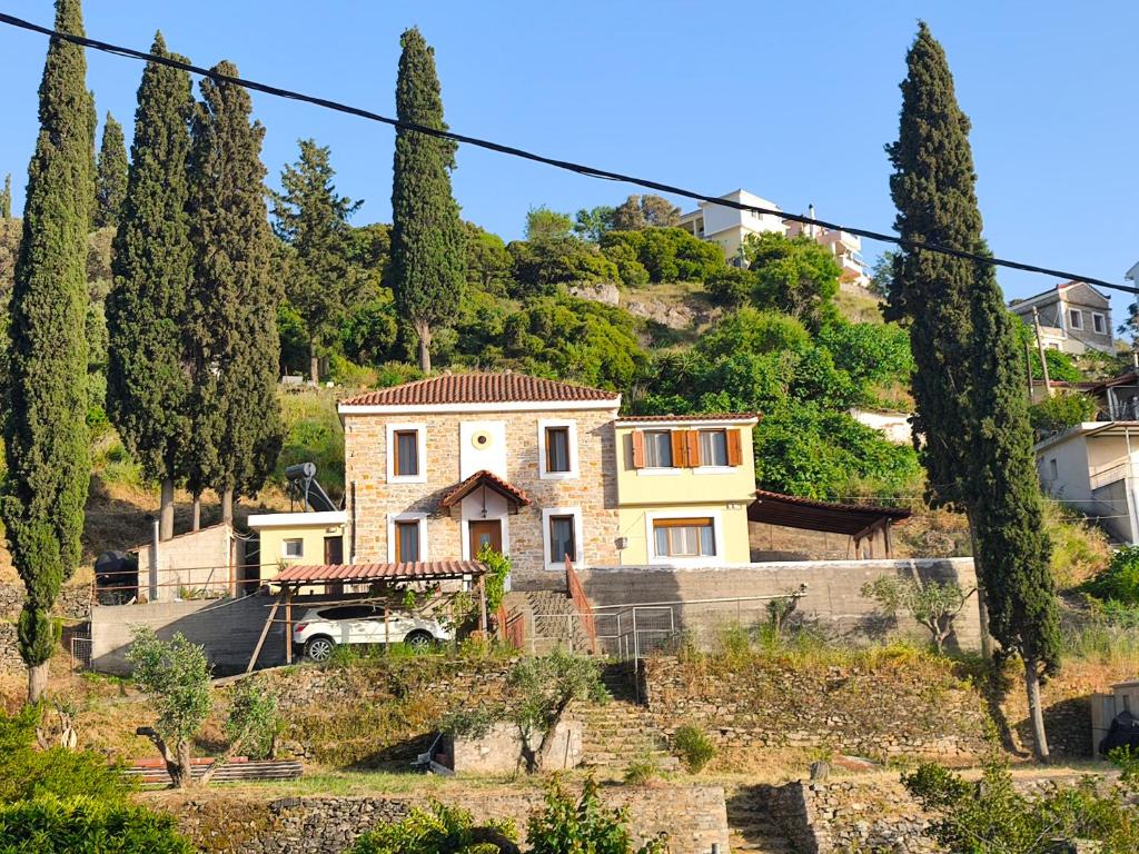 a house on the side of a hill with trees at Amelie's Stone House in Vathý