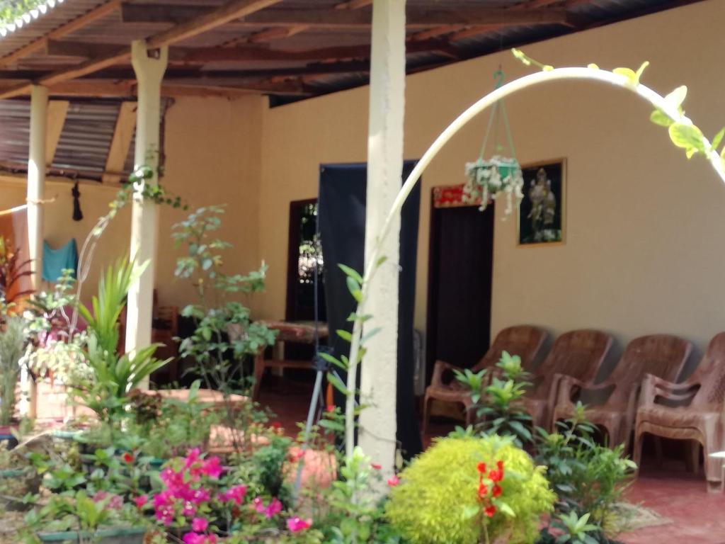 Zahrada ubytování Pinthu Home Stay