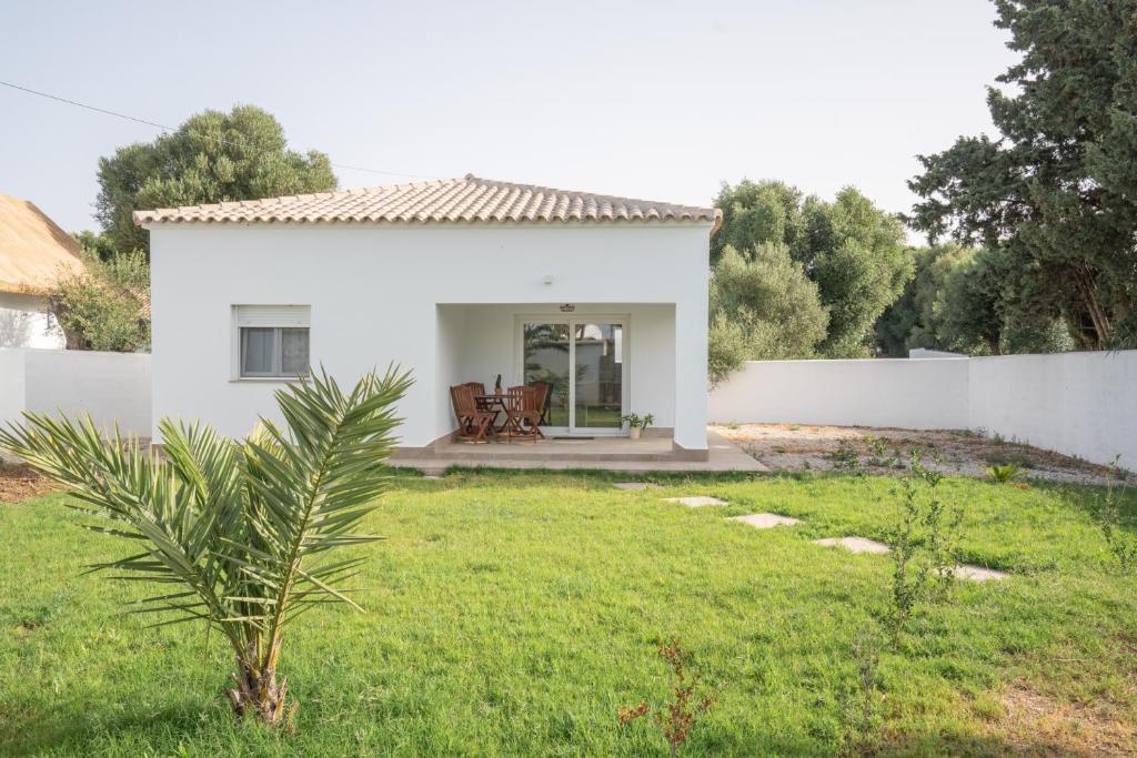 a white house with a palm tree in a yard at La Tertulia in Zahora