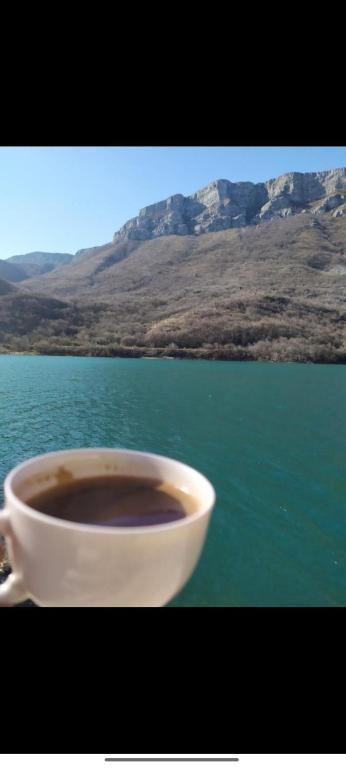 a cup of coffee sitting in front of the water at Mostar kuca pored jezera in Mostar