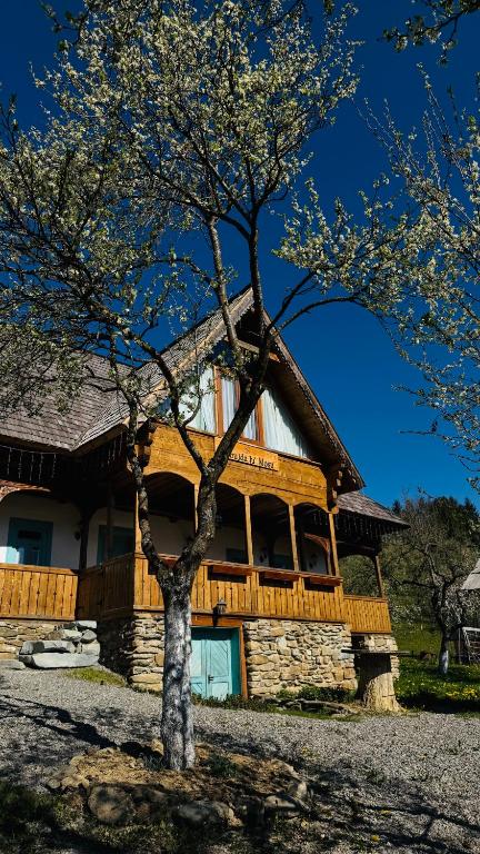 a tree in front of a log house at La bujda lu mosu in Borşa