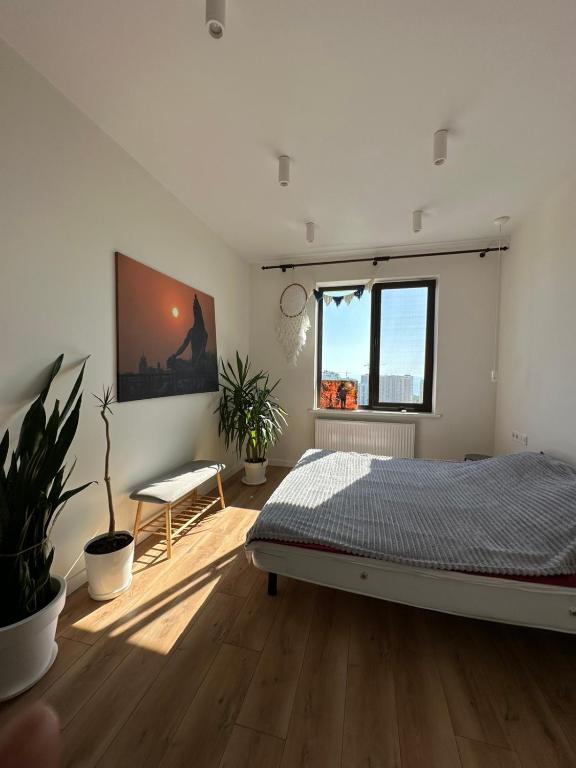White & Wood apartments by the sea фото 2
