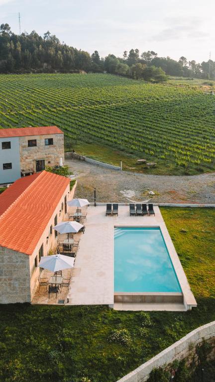 an overhead view of a swimming pool next to a vineyard at Canhoto Douro in Marco de Canaveses