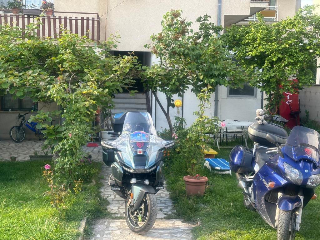 two motorcycles parked in a yard next to trees at Rooms Struga free parking quiet area in Struga