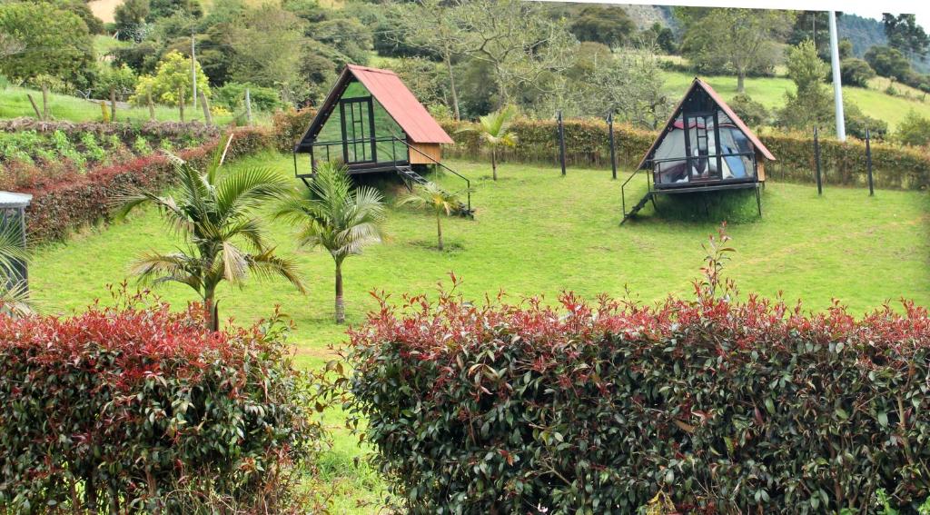 two small cottages in a field with palm trees at Hotel Rancho Olimpo in Sesquilé