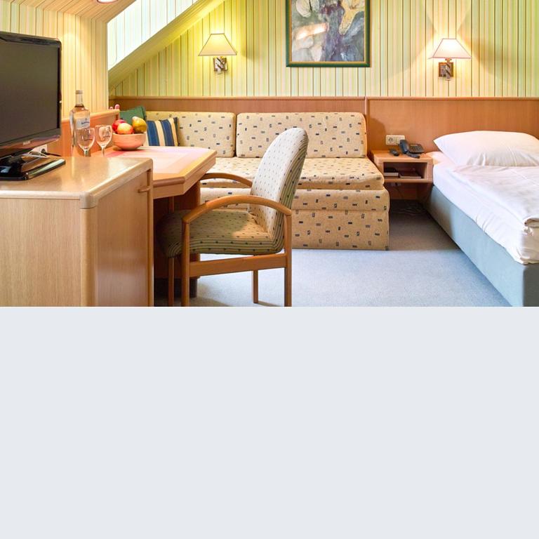 TV a/nebo společenská místnost v ubytování Hotel Falter