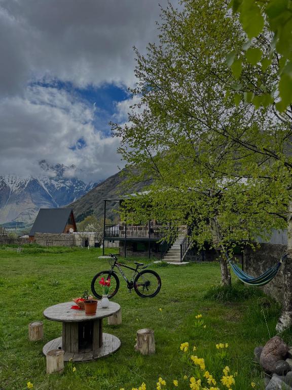 a bike sitting on a table in a field at Kazbegi Vibe in Kazbegi