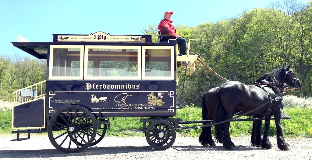 a man sitting on a horse drawn carriage at Kutschergasthof Am Sonnenstein in Sonnenstein