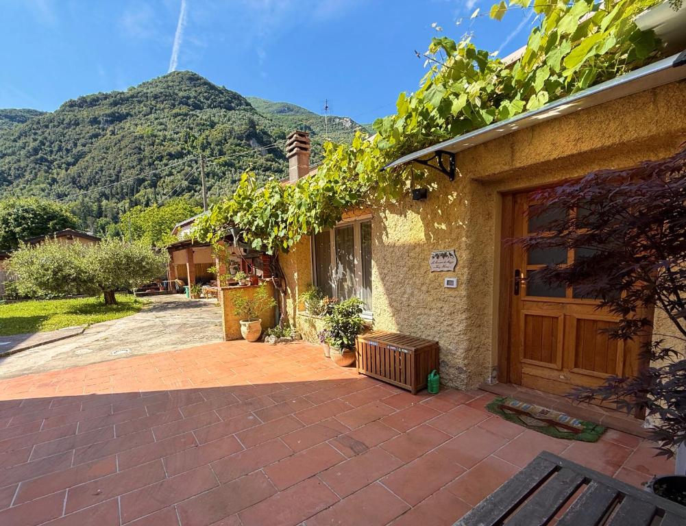 a house with a door and a bunch of vines at La casina di mezzo - Tiny House in Camaiore
