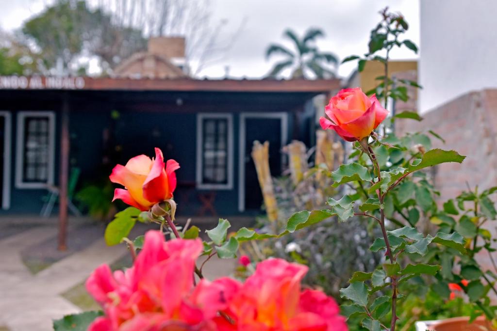 a group of pink roses in front of a house at Las Magnolias in Embalse