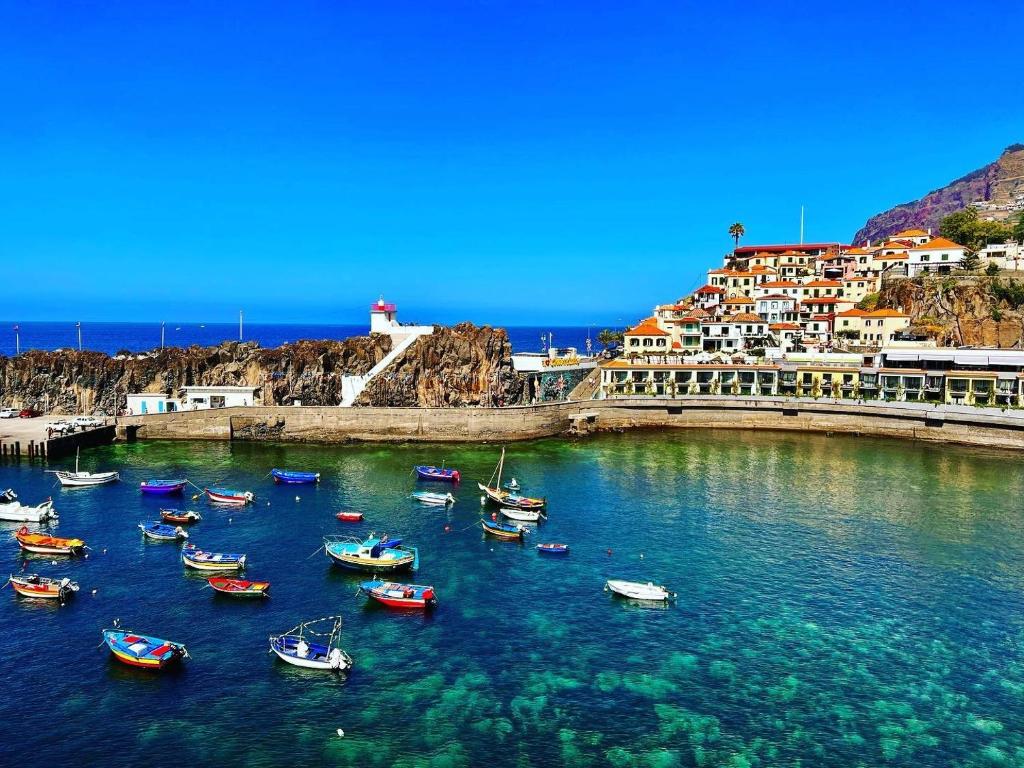 a group of boats in a body of water with buildings at Frades house in Câmara de Lobos