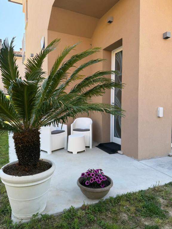 a palm plant in a large pot next to a house at Angels Venice in Marghera