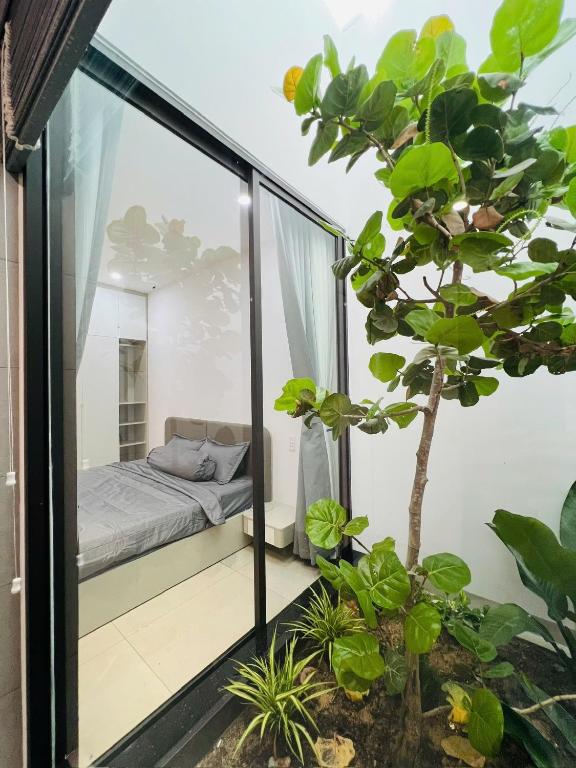 a room with a window with a bed and a tree at Homestay Ninh Chữ in Thanh Hải