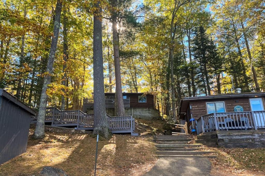 a log cabin in the woods with trees at Loon Loft in Saint Germain