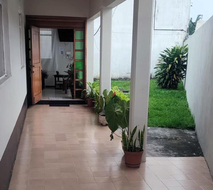 a hallway of a house with potted plants at Casa para 10 personas A 10 MIN CENTRO DE ORIZABA in Orizaba