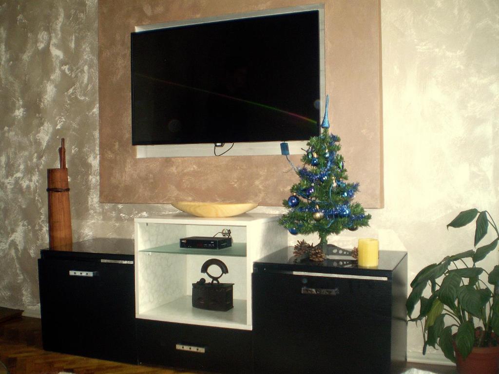 a living room with a television and a christmas tree at Apartment Zuric in Kolašin