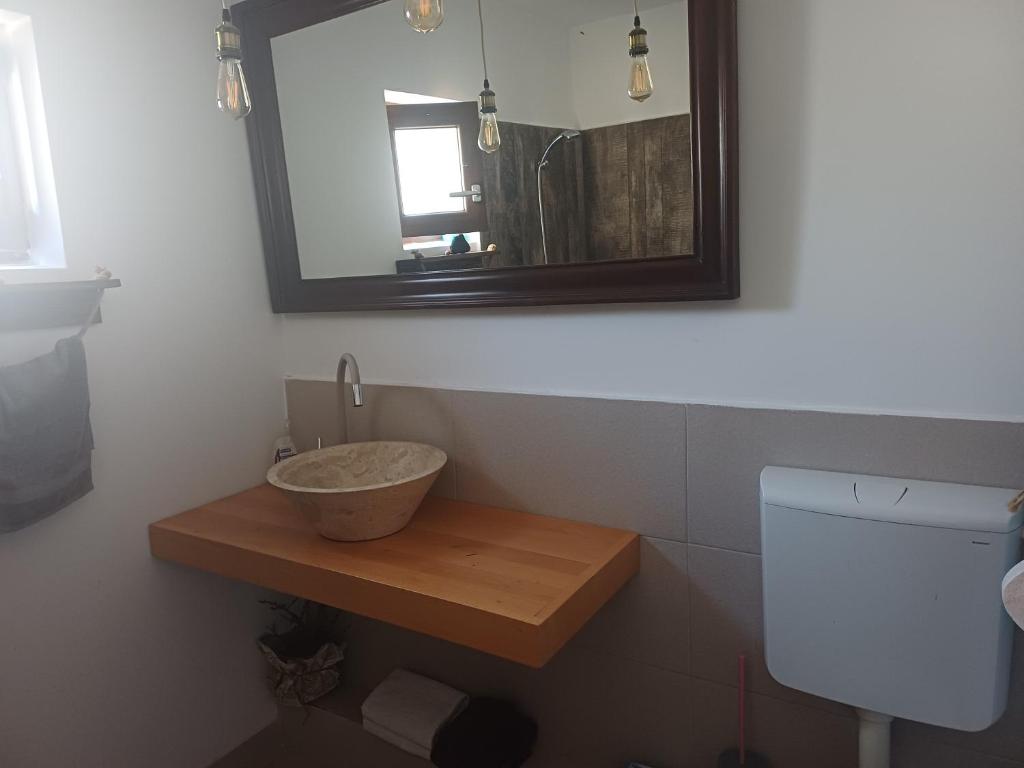a bathroom with a sink and a mirror and a toilet at SsaZza in Râmnicu Vâlcea