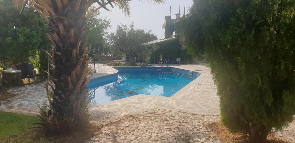 a swimming pool in a yard with a palm tree at Eco wellness the arch in Lévktron