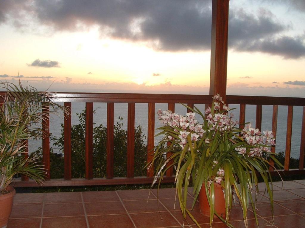 Casa las Las Viñas, Fuencaliente de la Palma – Bijgewerkte ...