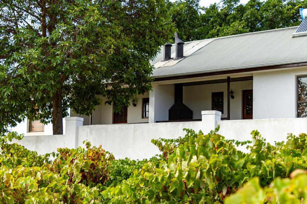 a white house with a fence and trees at D'Aria Guest Cottages in Durbanville