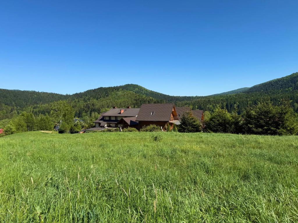 a house in the middle of a green field at Agroturystyka Jeleni Skok in Cisna