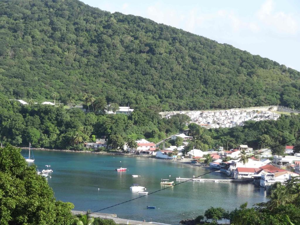 vistas a un puerto con barcos en el agua en La Baie du Bonheur, en Deshaies