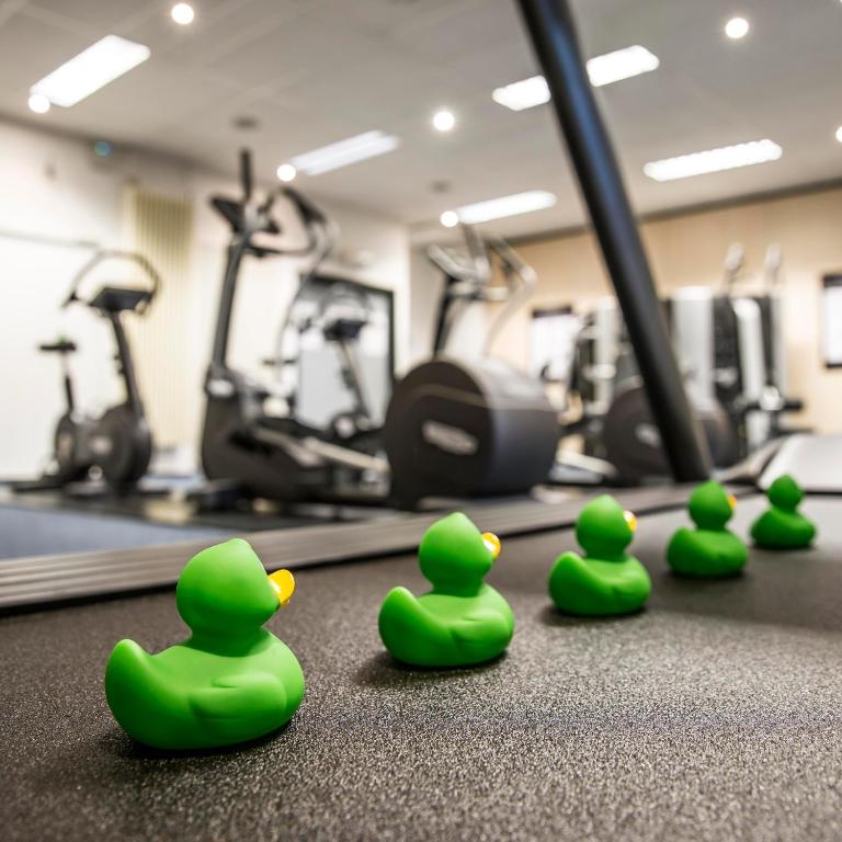 Fitness centrum a/nebo fitness zařízení v ubytování Let's Meet Elewijt