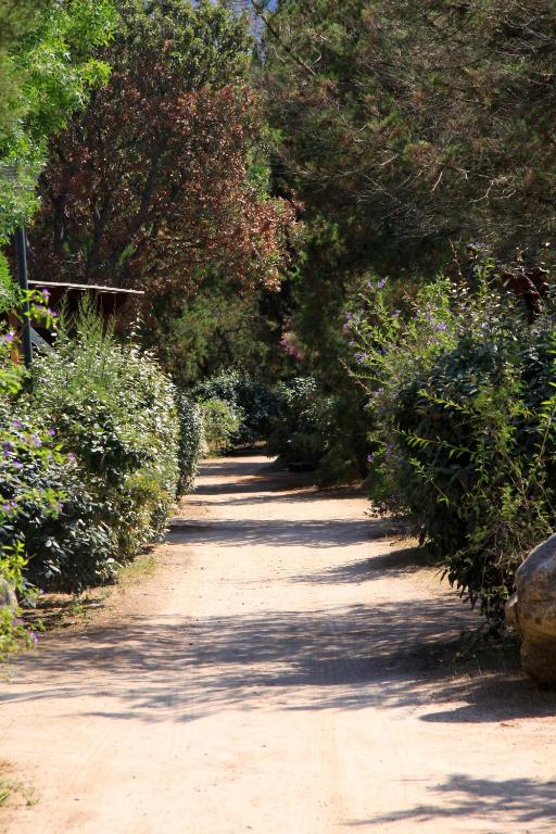 a dirt road with trees and bushes on it at Résidence Mobydick in Porto-Vecchio