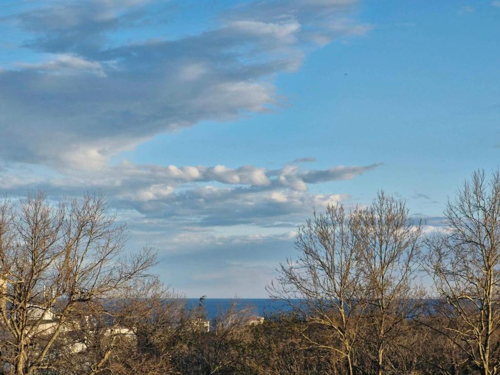 Eine Baumgruppe und ein blauer Himmel mit Wolken in der Unterkunft Dan-Mari in Baltschik
