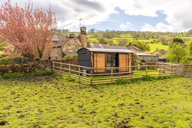 a cabin in the middle of a grass field at The Carriage in Matlock