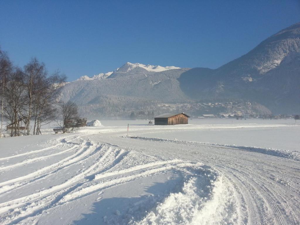 レンゲンフェルトにあるDer kleine Stadlの納屋と山の雪田