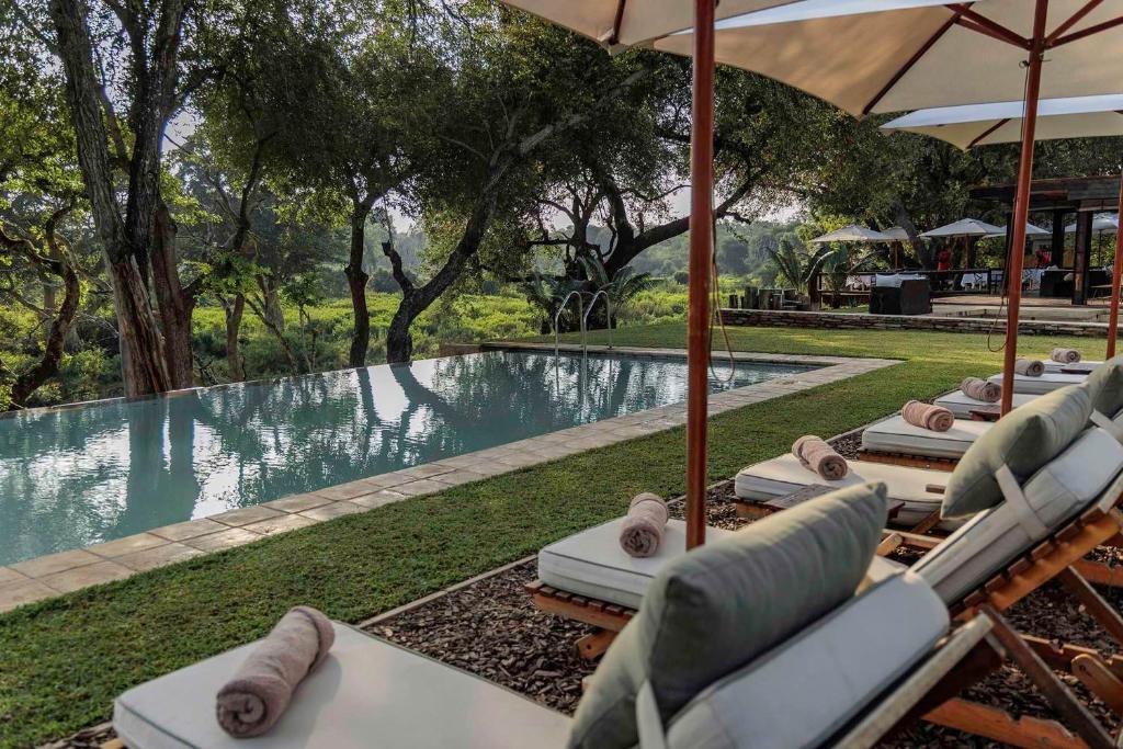 a group of lounge chairs with umbrellas next to a swimming pool at Karongwe - Becks Safari Lodge in Hoedspruit